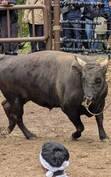 がん太